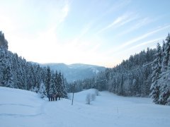 Rodelbahn Gschwend in Bezau